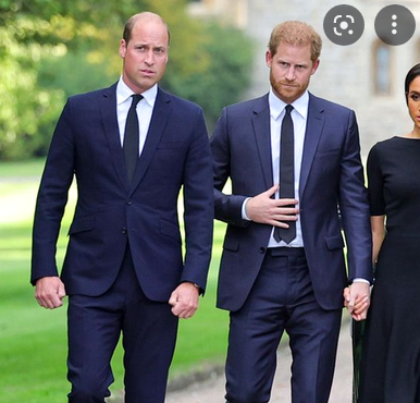 Versöhnung! William und Harry - Weihnachtswunder im britischen Königshaus! 